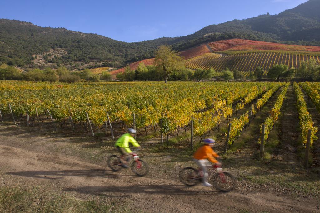 Clos Apalta Residence Relais & Chateaux Santa Cruz Bagian luar foto